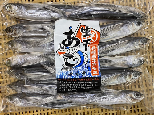 生干塩あご500g(12〜14匹)