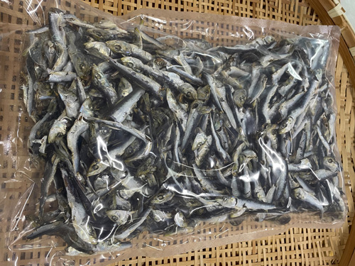 お徳用煮干(まいわし)1kg