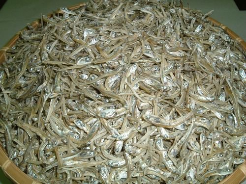 かえり煮干し　1ｋｇ